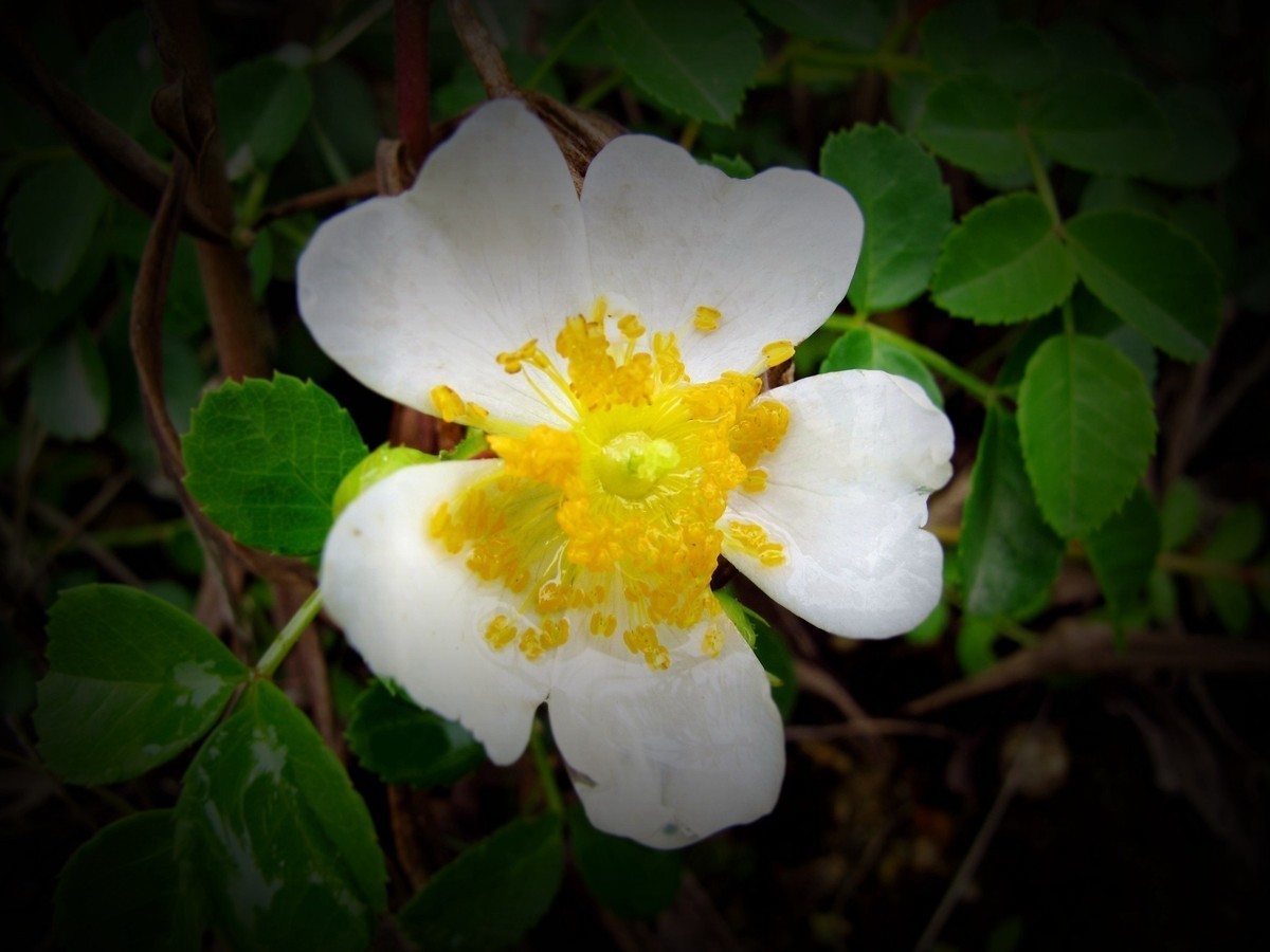 5月的最后一天！