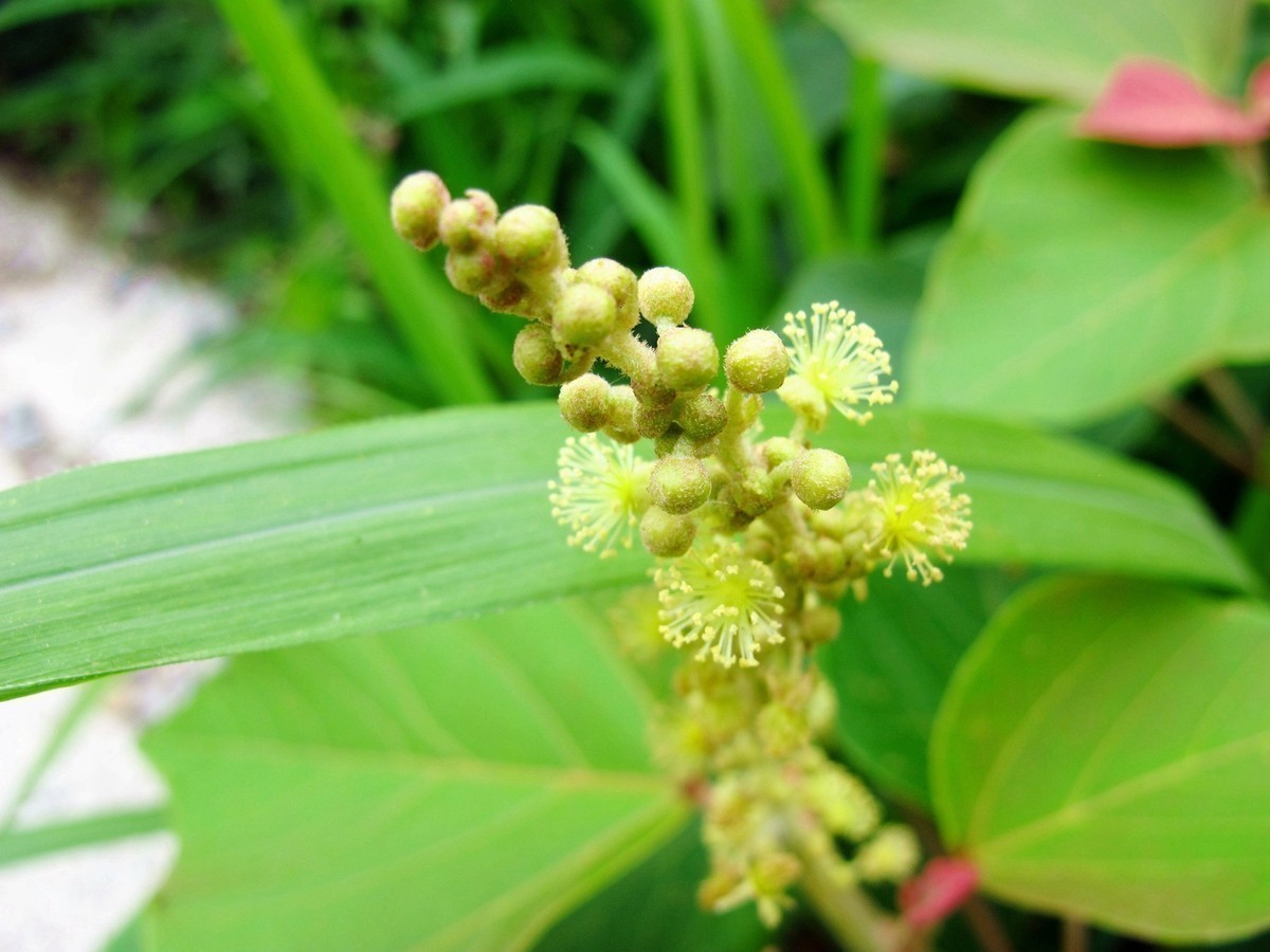 5月的最后一天！