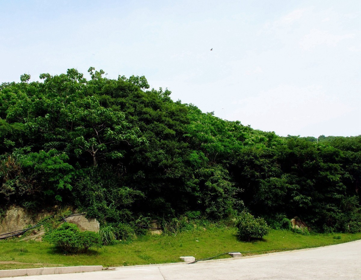 5月的最后一天！