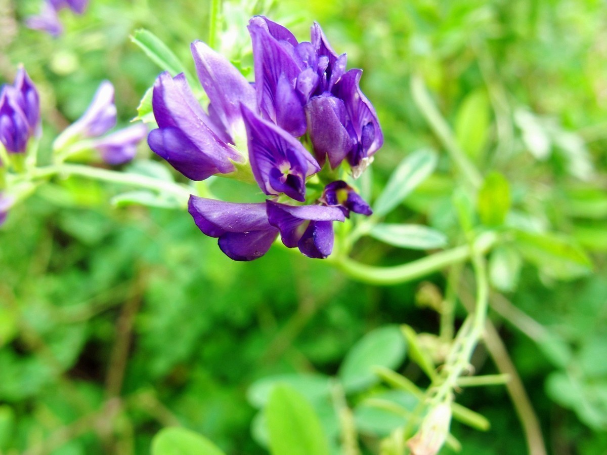 5月的最后一天！