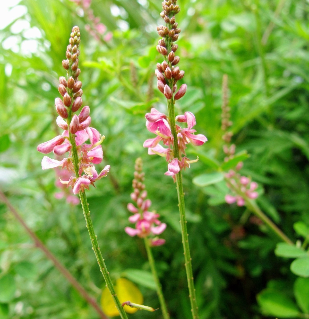 5月的最后一天！