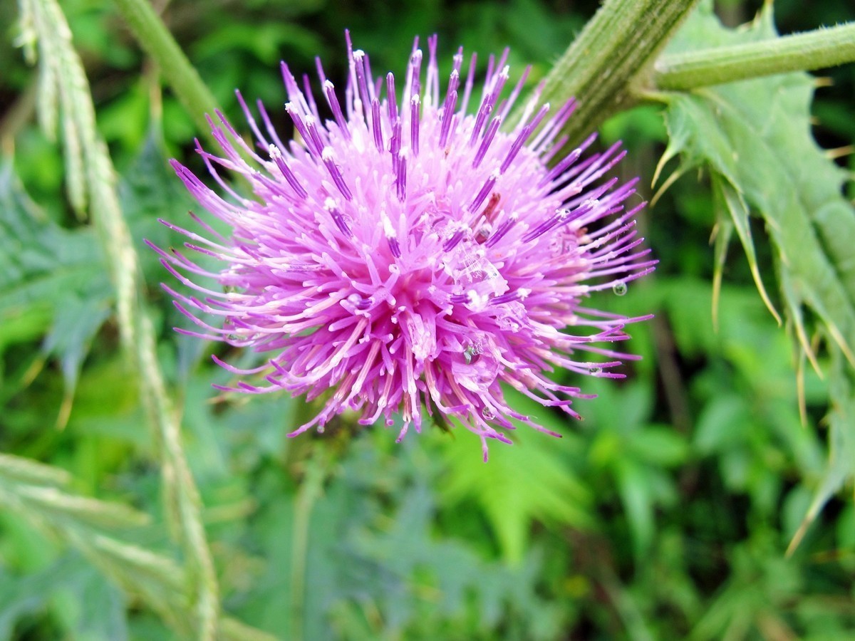 5月的最后一天！