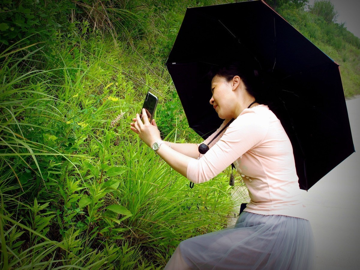 5月的最后一天！