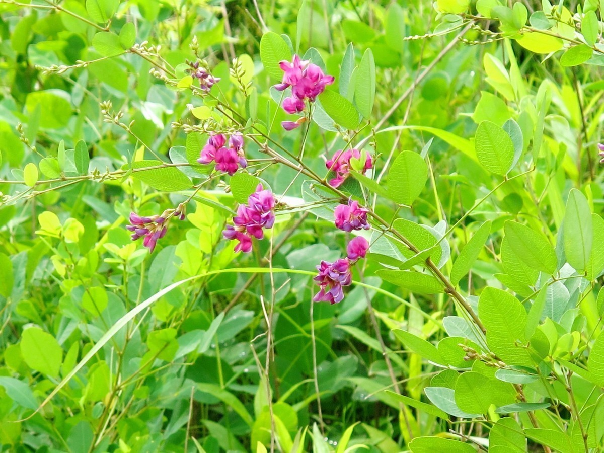 5月的最后一天！