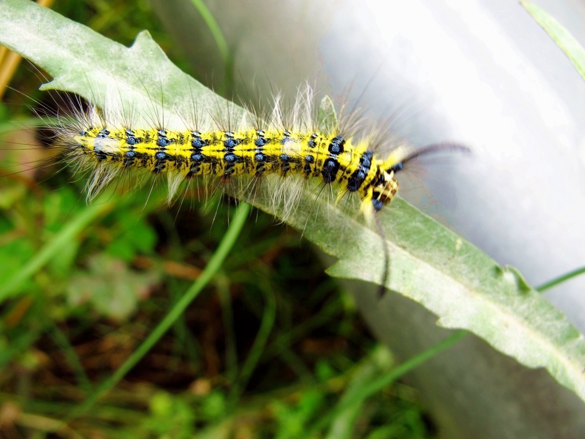 5月的最后一天！