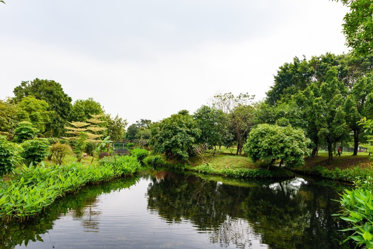 适马17-50镜头初步印象