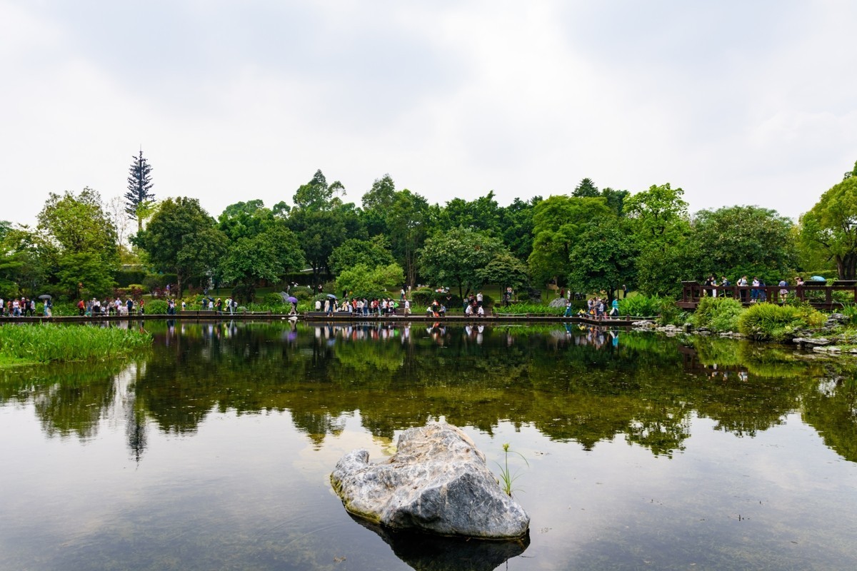 适马17-50镜头初步印象