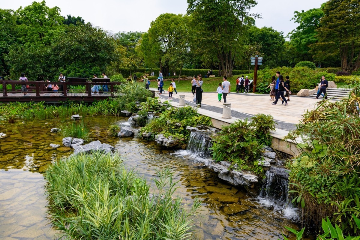 适马17-50镜头初步印象