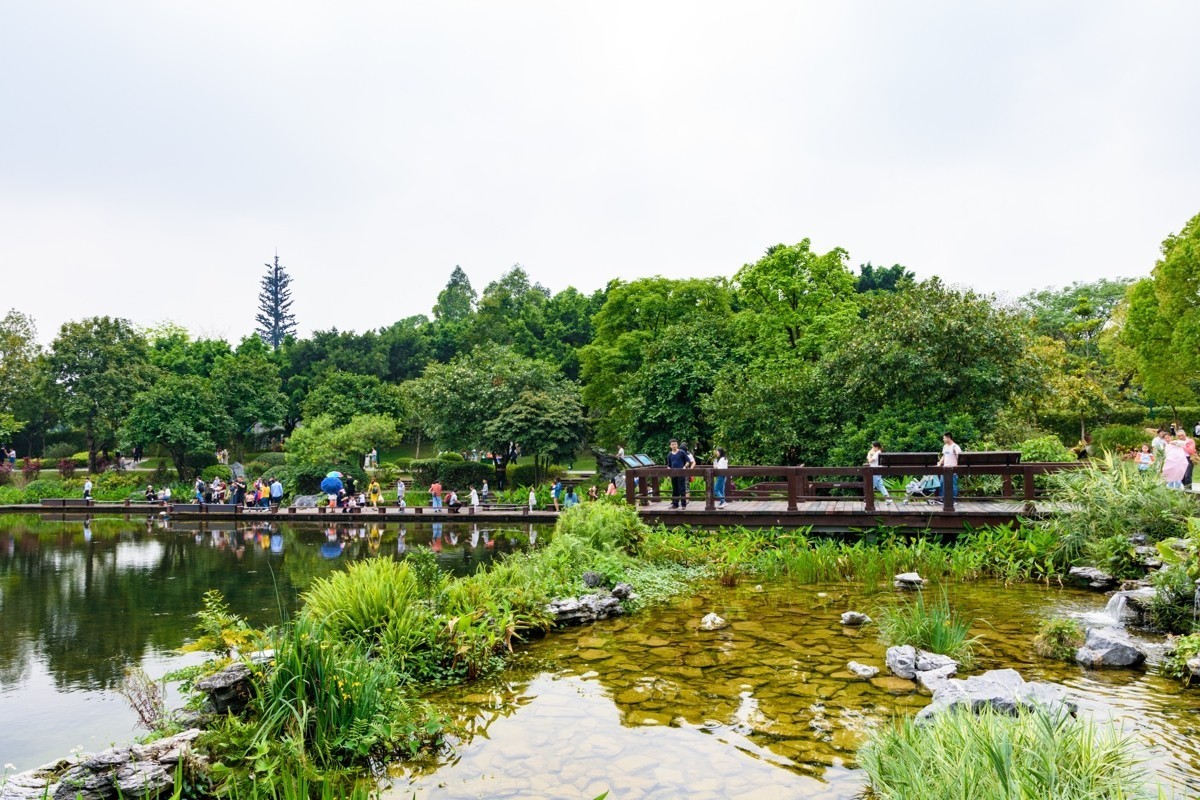 适马17-50镜头初步印象