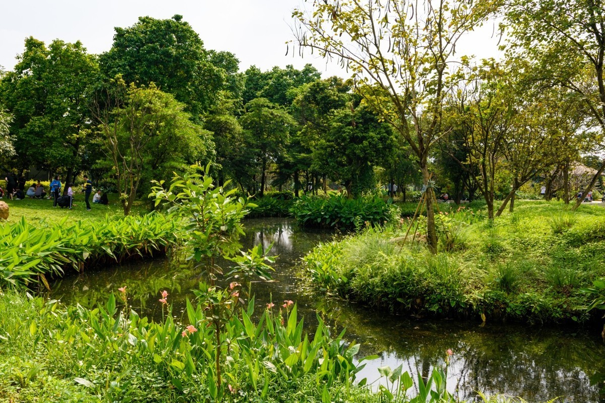 适马17-50镜头初步印象