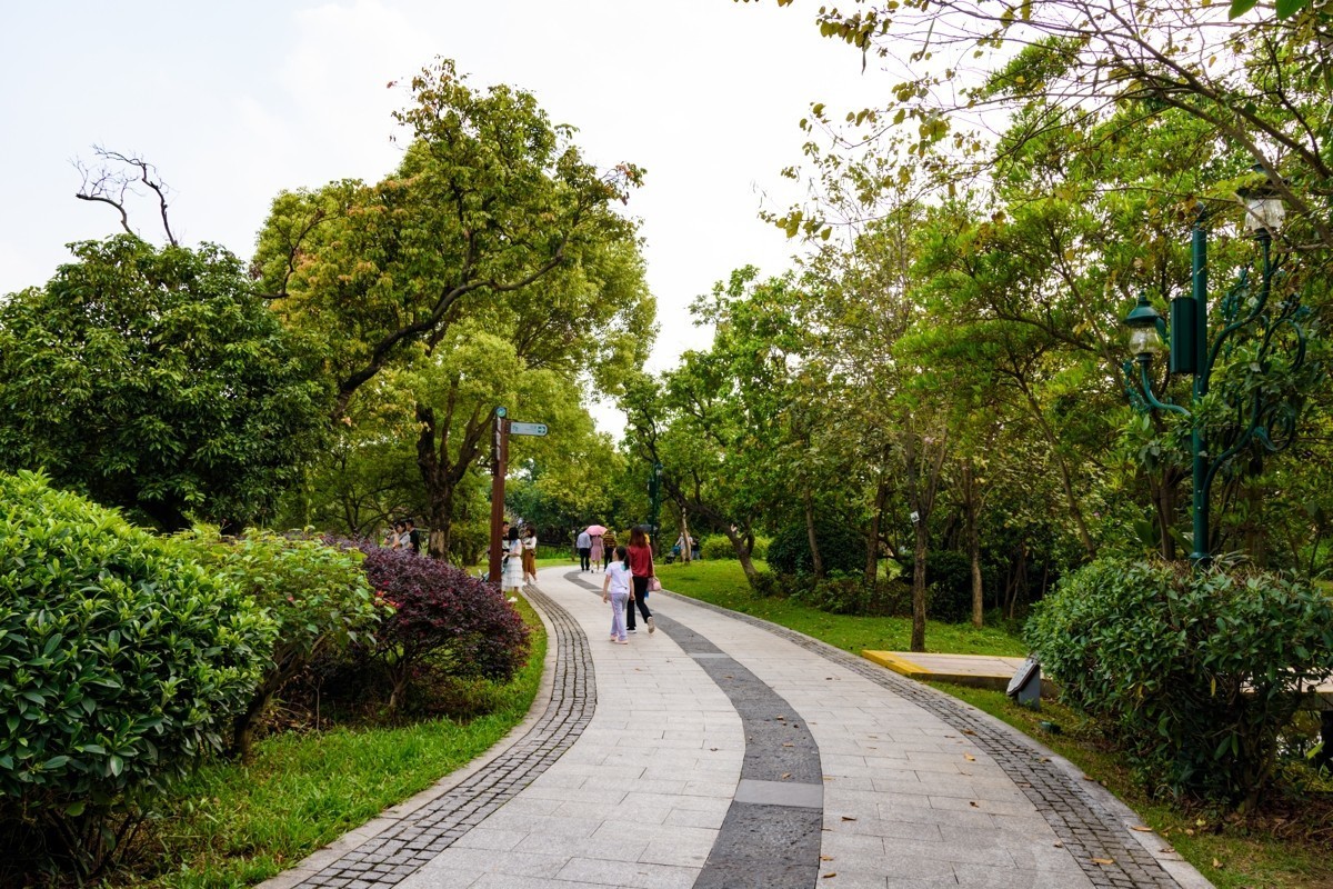 适马17-50镜头初步印象