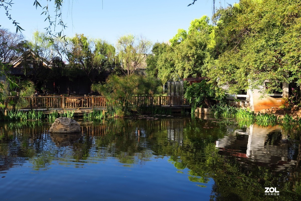 春天里的西华园公园