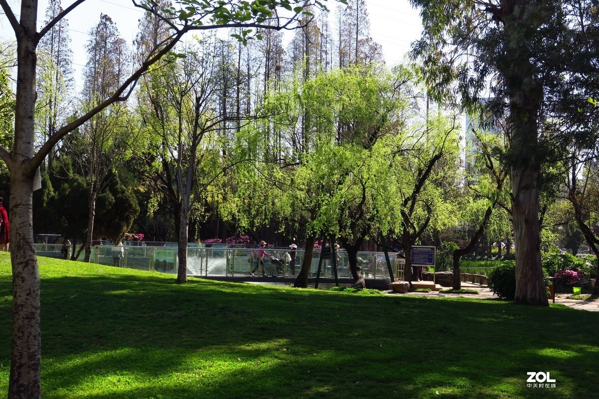 春天里的西华园公园