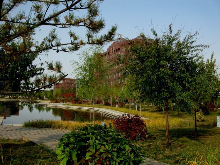 草原都市草原情