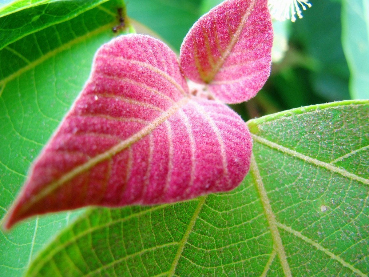 5月的最后一天！