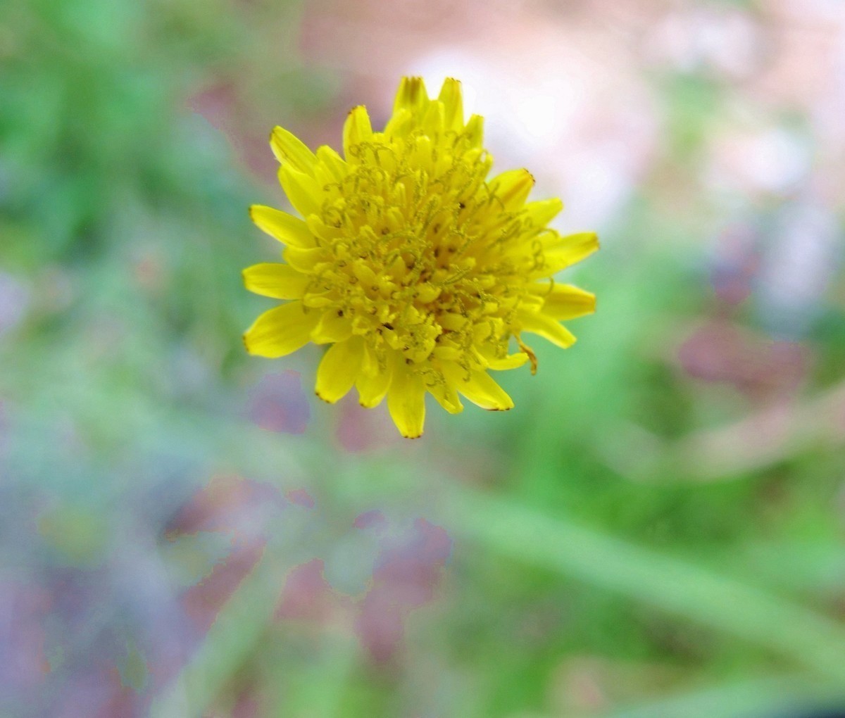 5月的最后一天！