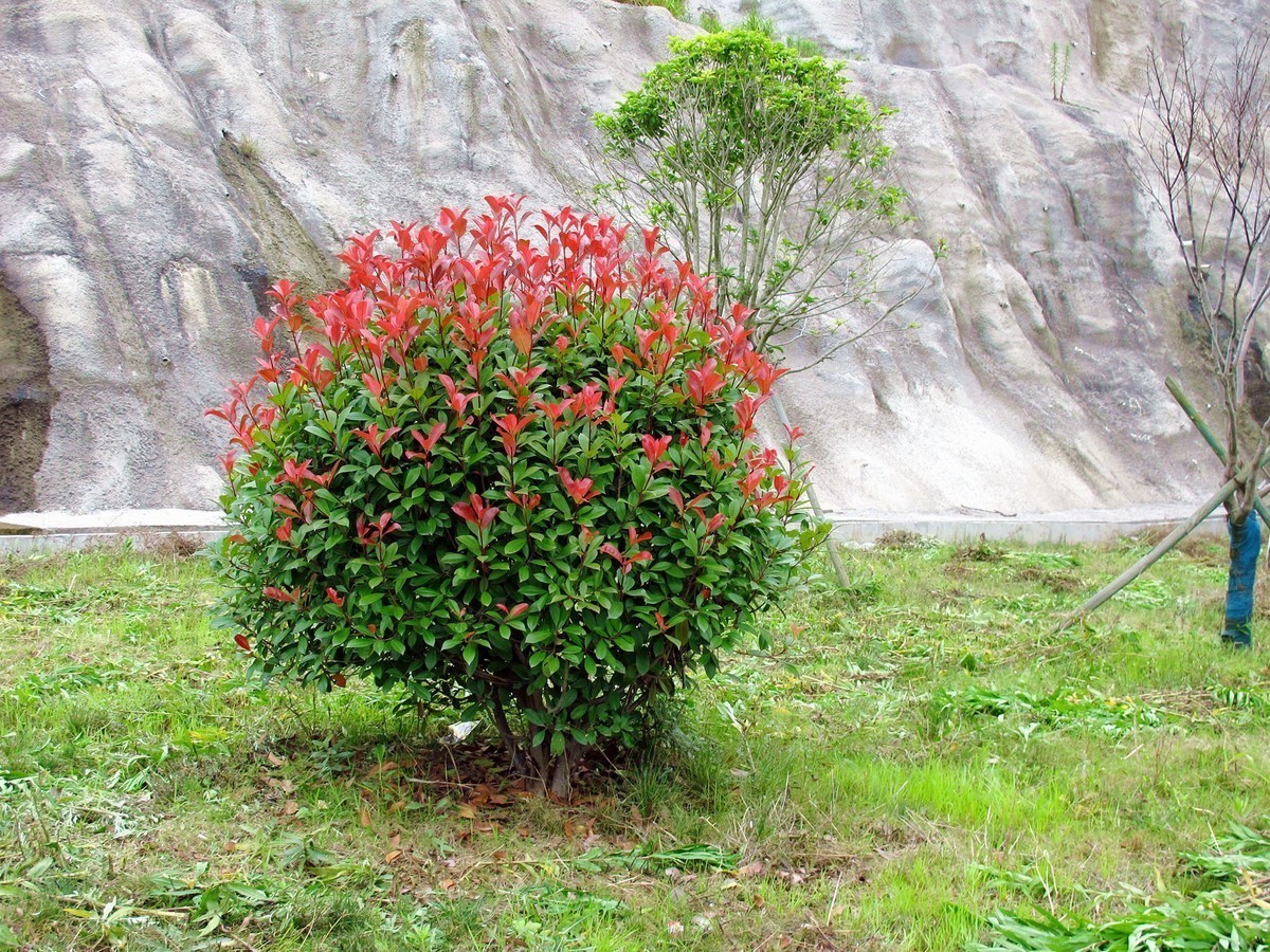 5月的最后一天！