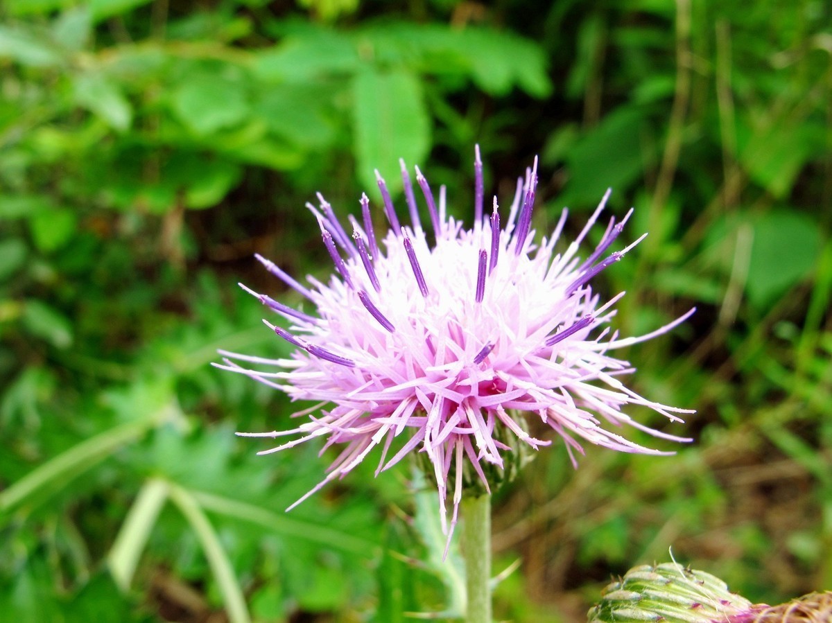 5月的最后一天！