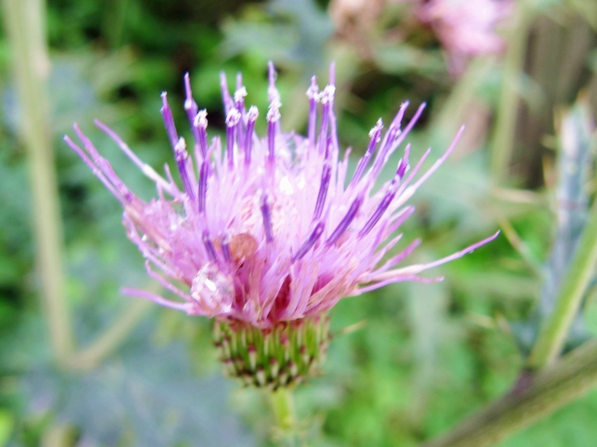 5月的最后一天！