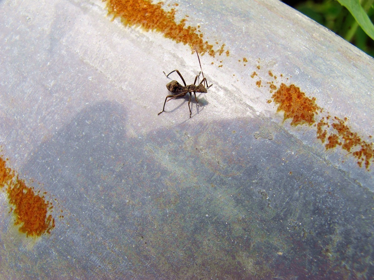 5月的最后一天！