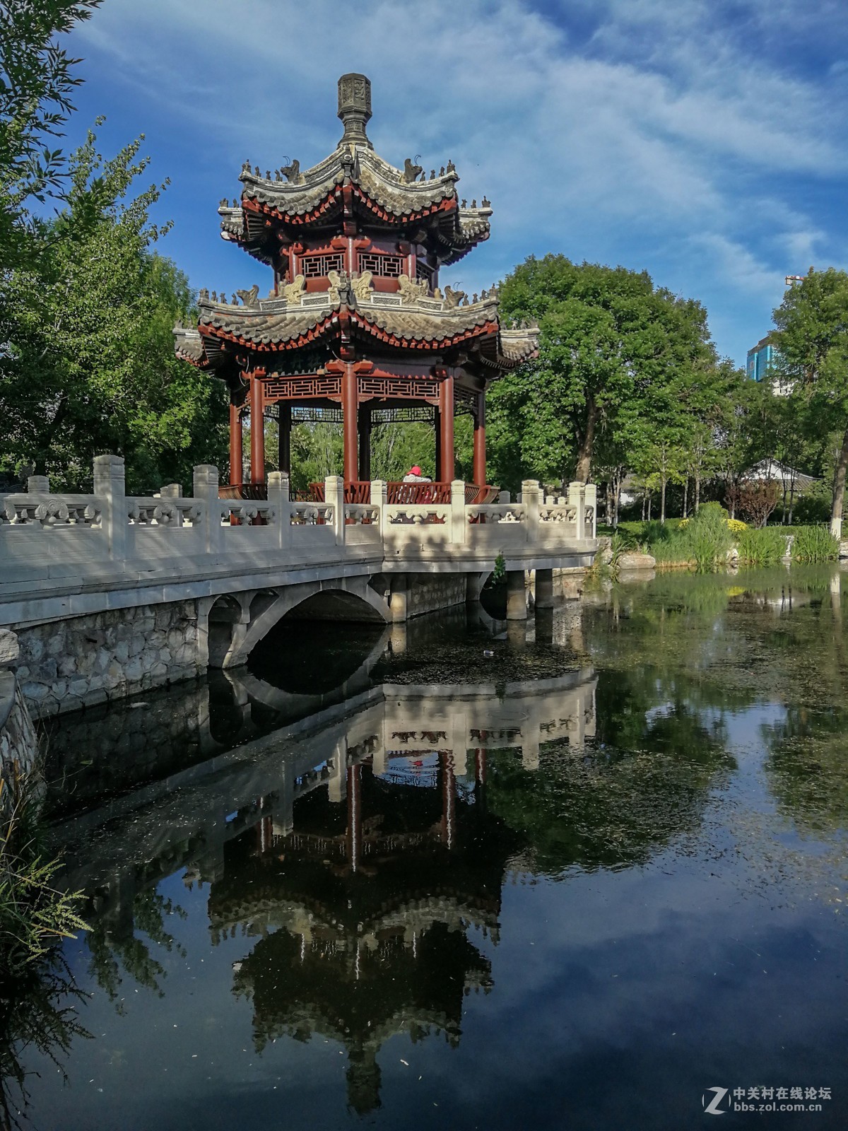 夏日的天津北宁公园