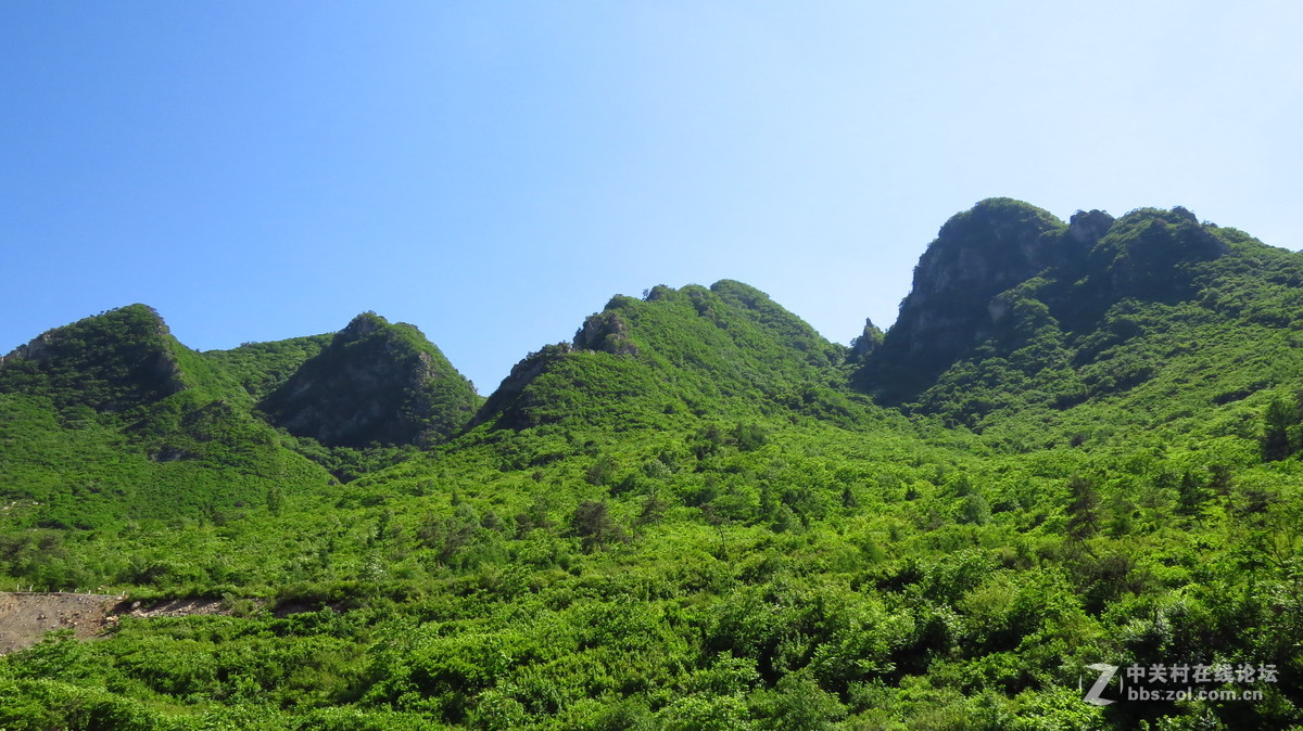 盖州猫岭森林公园图片