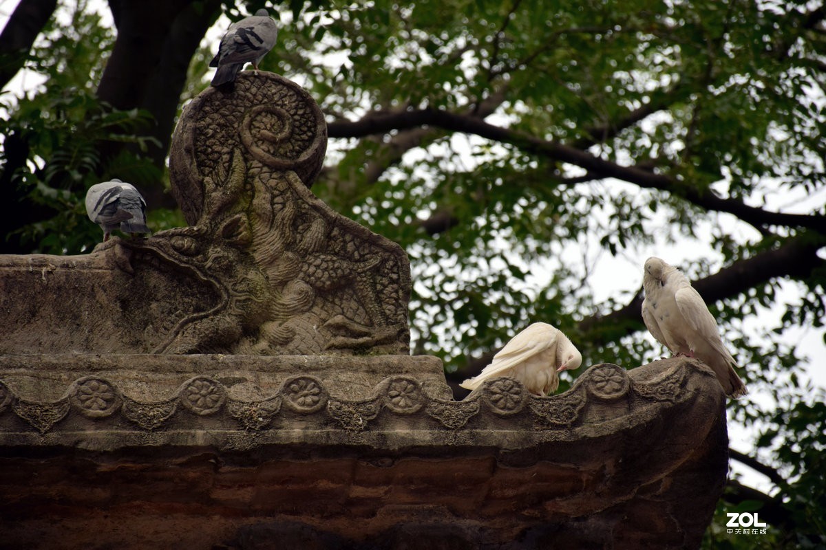 2019夏 京津鲁豫之旅（13）没法看到千佛殿地面