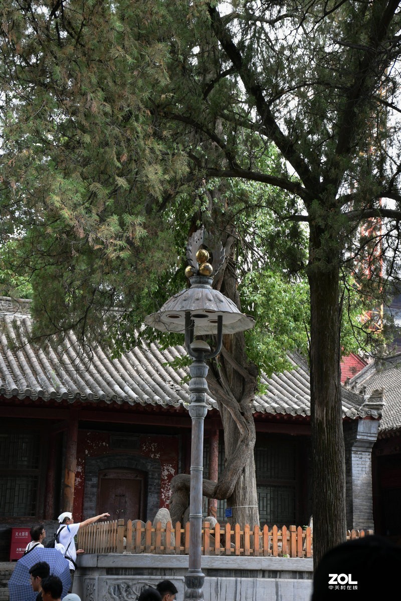 2019夏 京津鲁豫之旅（13）没法看到千佛殿地面