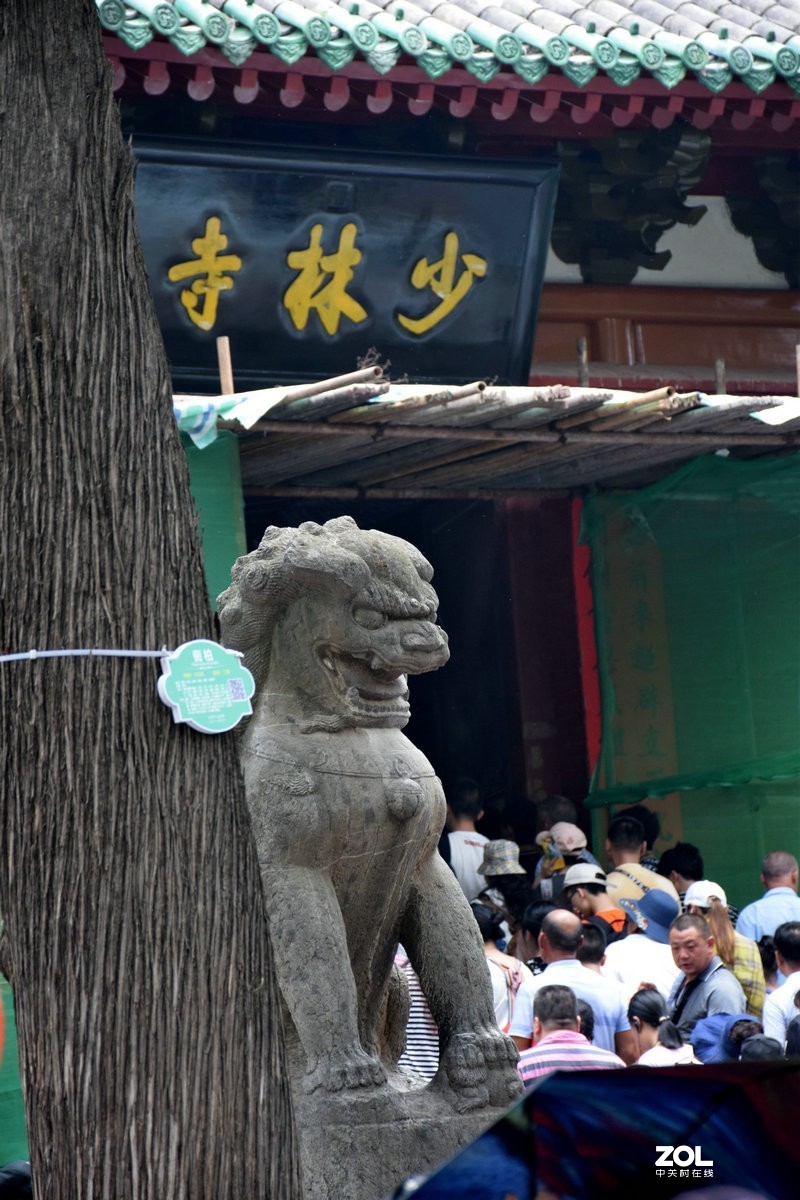 2019夏 京津鲁豫之旅（13）没法看到千佛殿地面