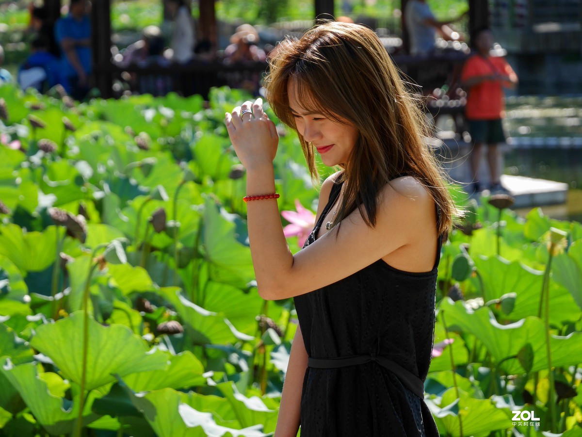 #激萌夏日，美人来袭# 绿意盎然，争奇斗艳