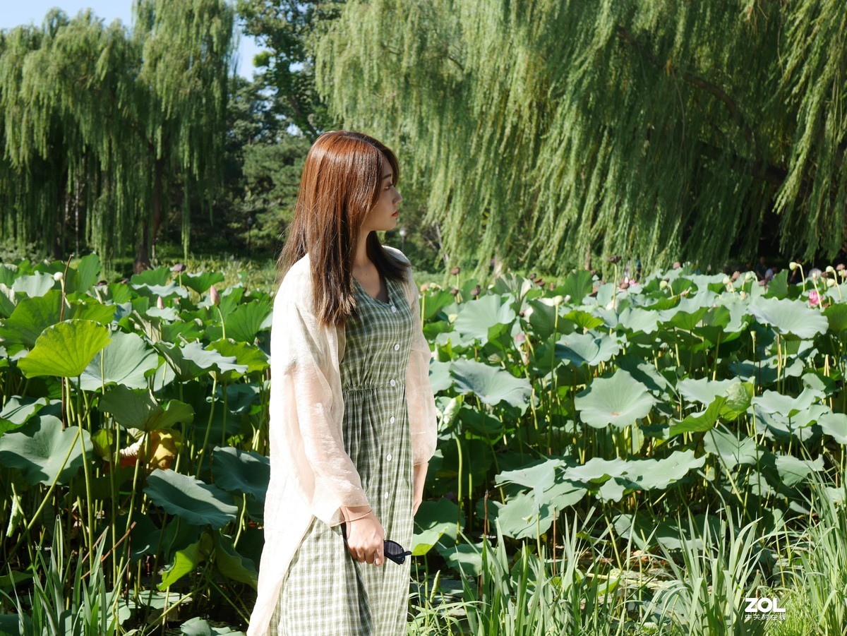 #激萌夏日，美人来袭# 绿意盎然，争奇斗艳