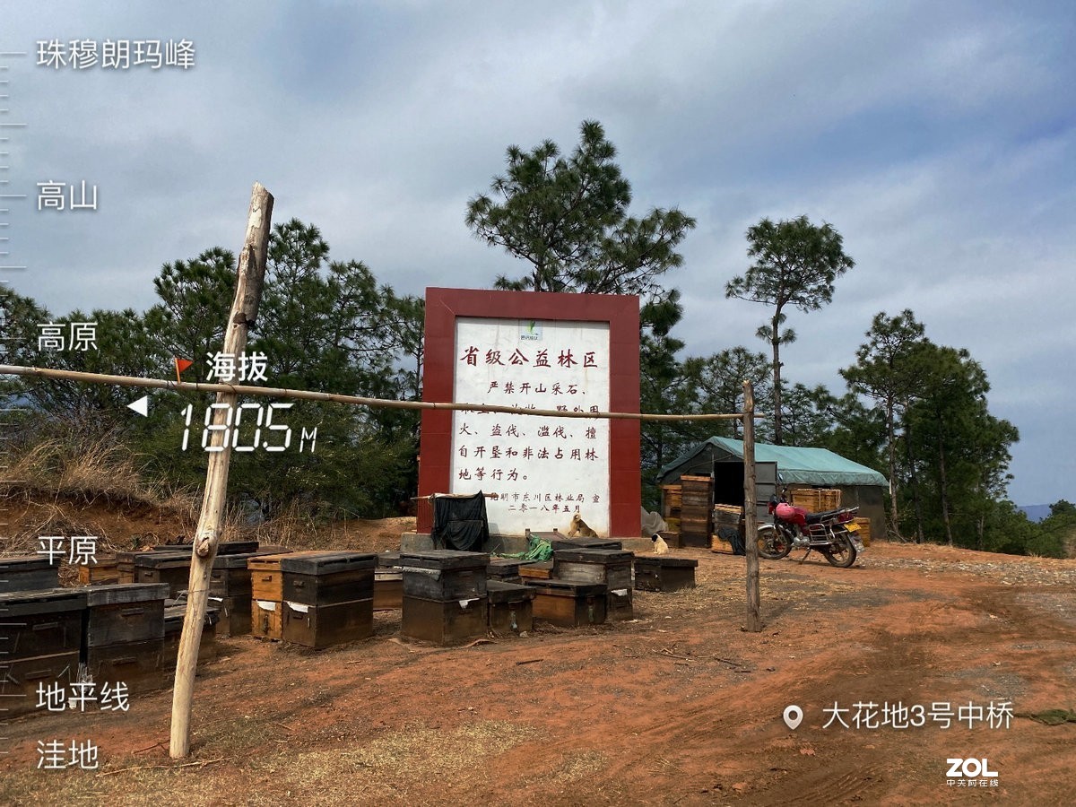 2020春节 长沙到老挝（90）大花地