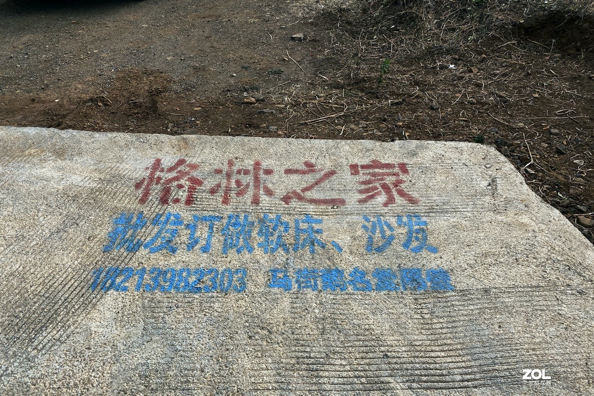 2020春节 长沙到老挝（90）大花地