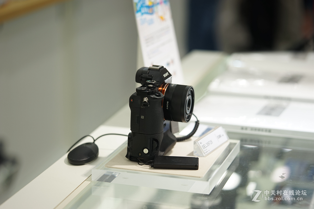 FE90 2.8微距 随拍试镜头