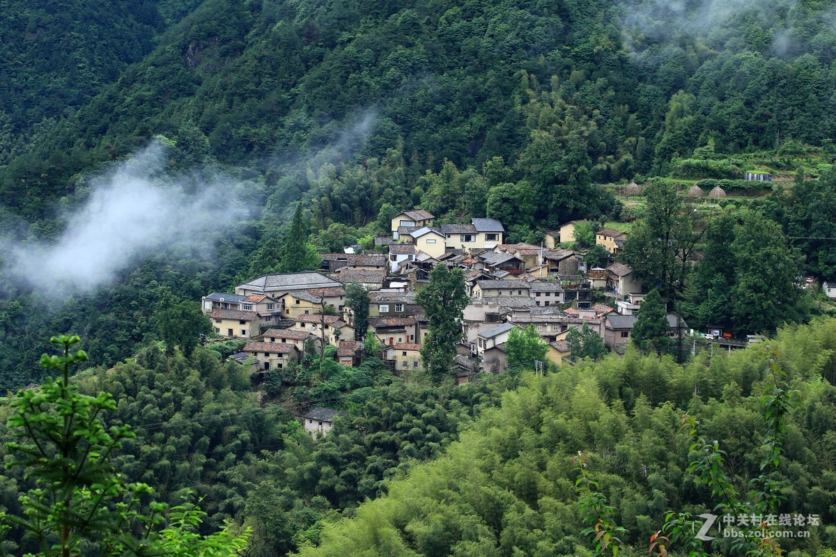 探访世外陶源景德镇进坑村 寻五代宋代窑址_工作