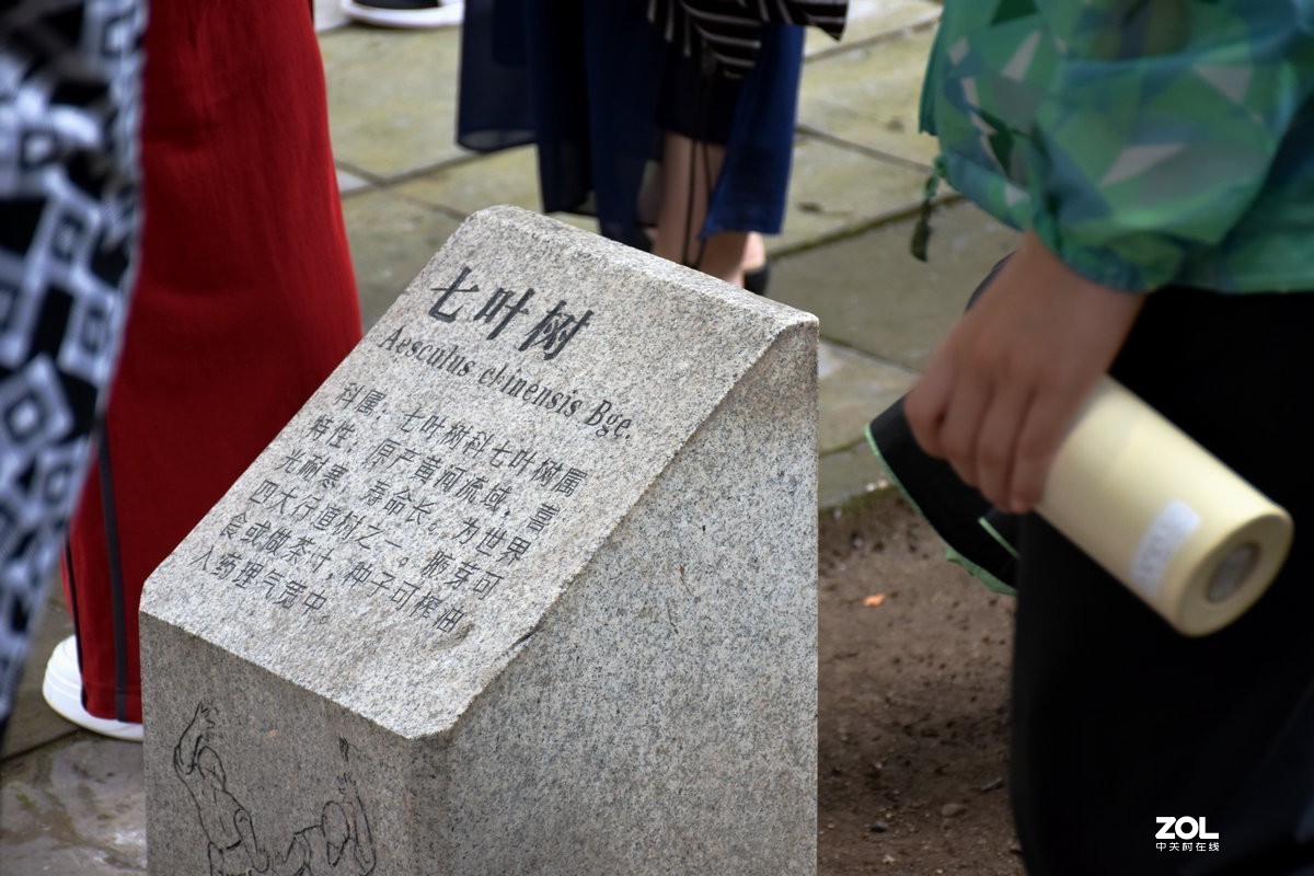 2019夏 京津鲁豫之旅（13）没法看到千佛殿地面