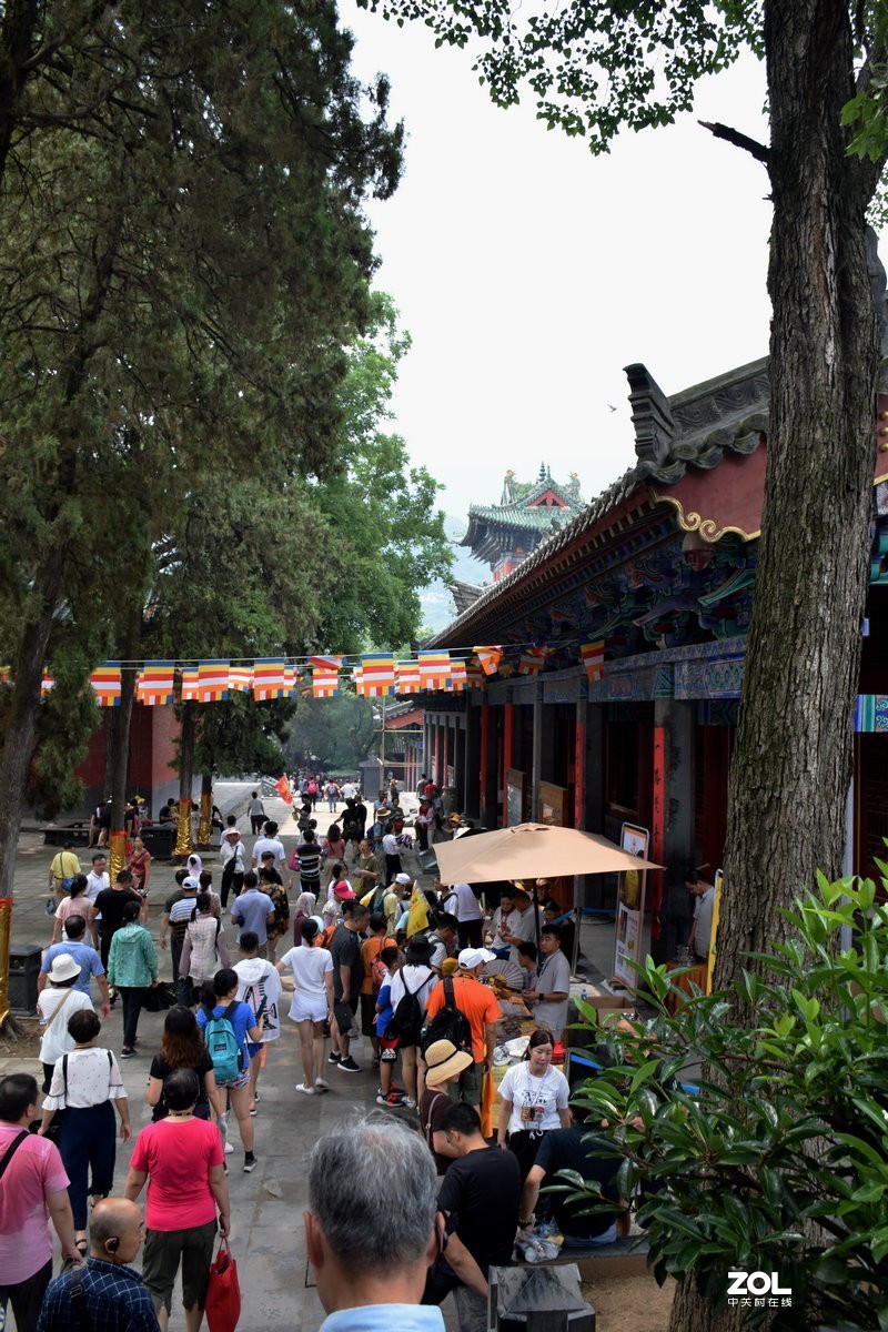 2019夏 京津鲁豫之旅（13）没法看到千佛殿地面