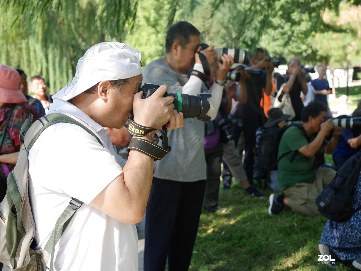 #激萌夏日，美人来袭# 绿意盎然，争奇斗艳