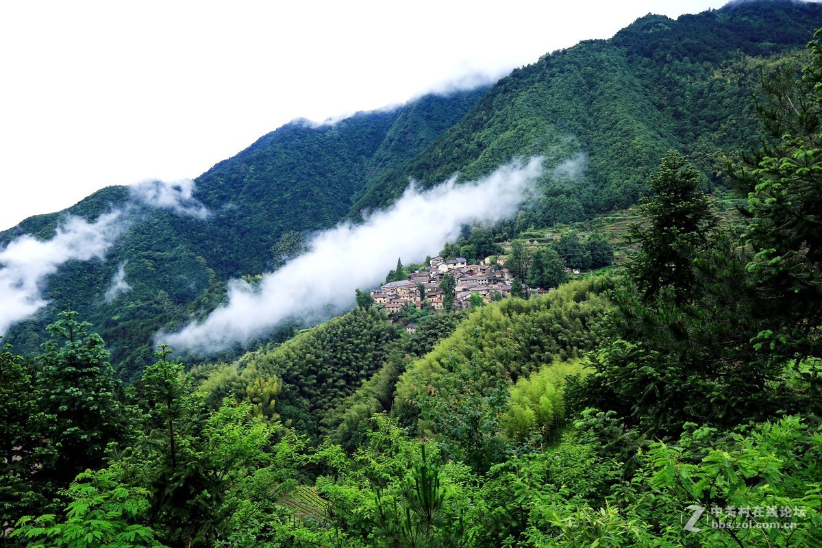 松阳四都风景区图片