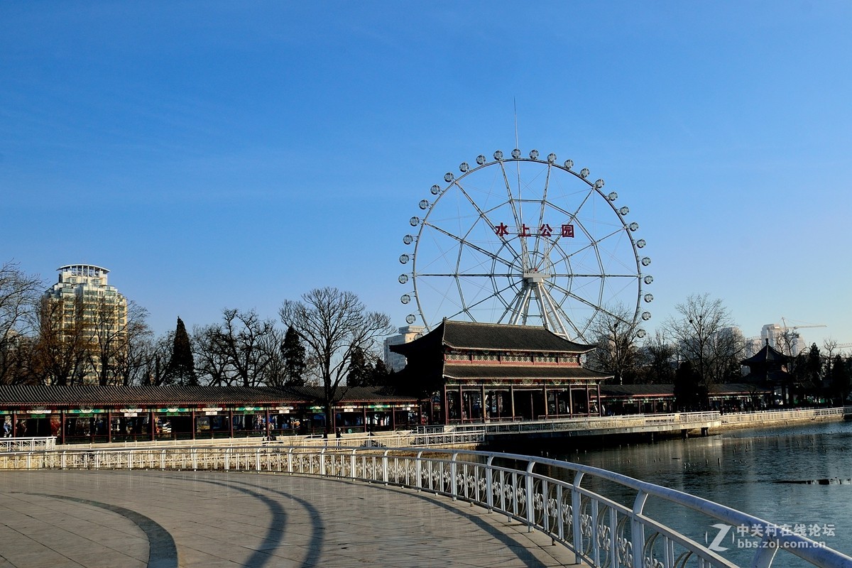 天津水上公園初春印象