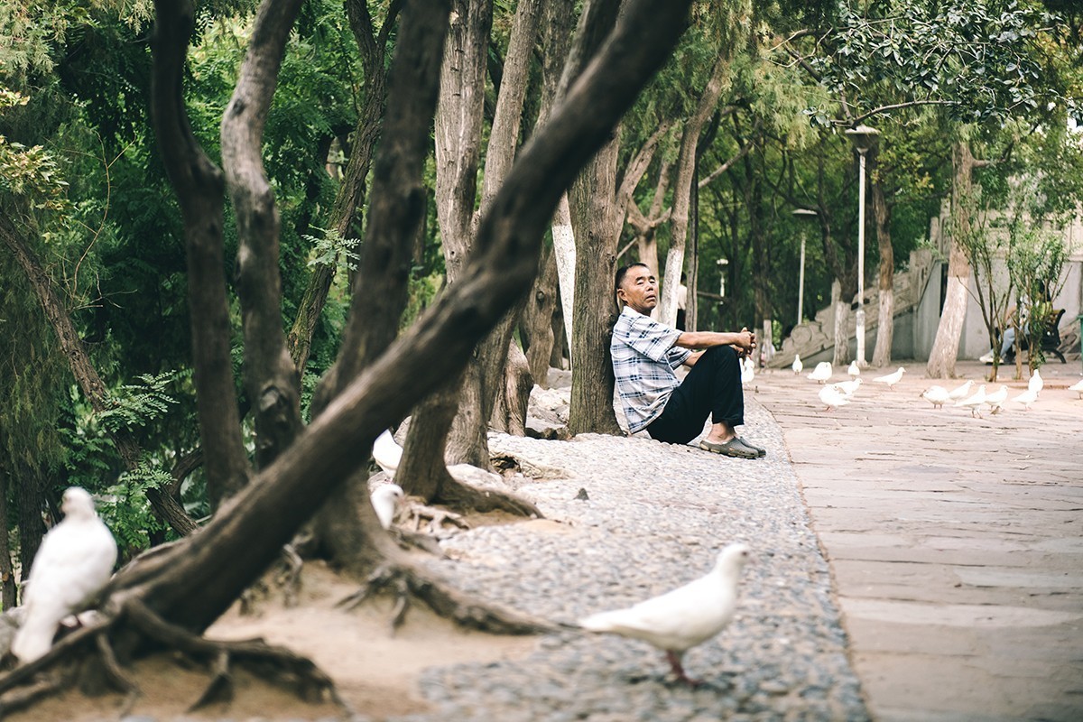 放松身心，公园游玩，另接拍儿童和婚礼跟拍