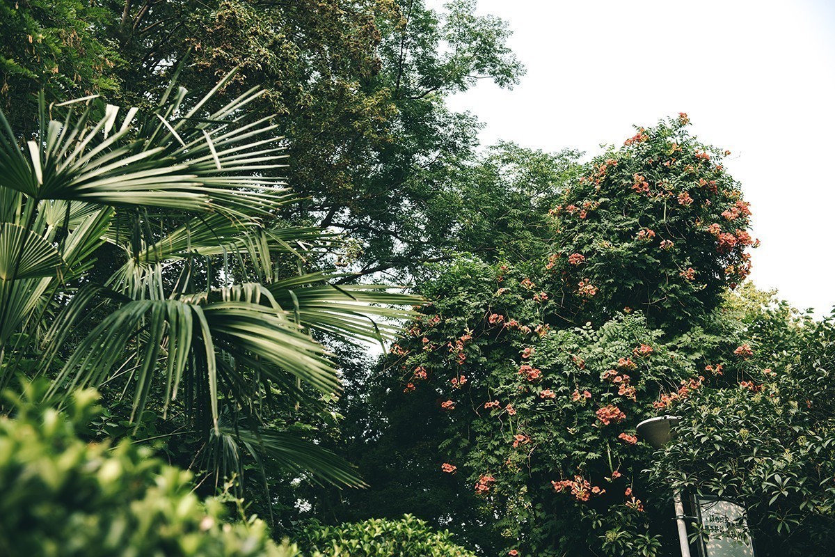 放松身心，公园游玩，另接拍儿童和婚礼跟拍