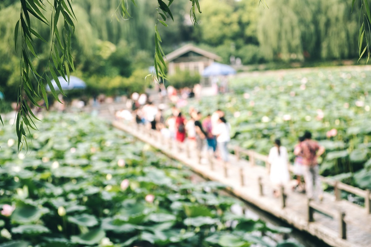 放松身心，公园游玩，另接拍儿童和婚礼跟拍