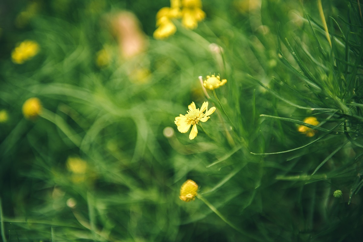放松身心，公园游玩，另接拍儿童和婚礼跟拍