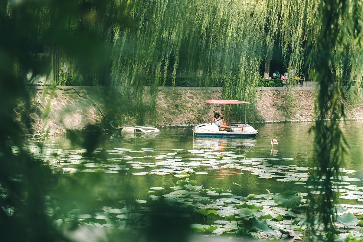 放松身心，公园游玩，另接拍儿童和婚礼跟拍