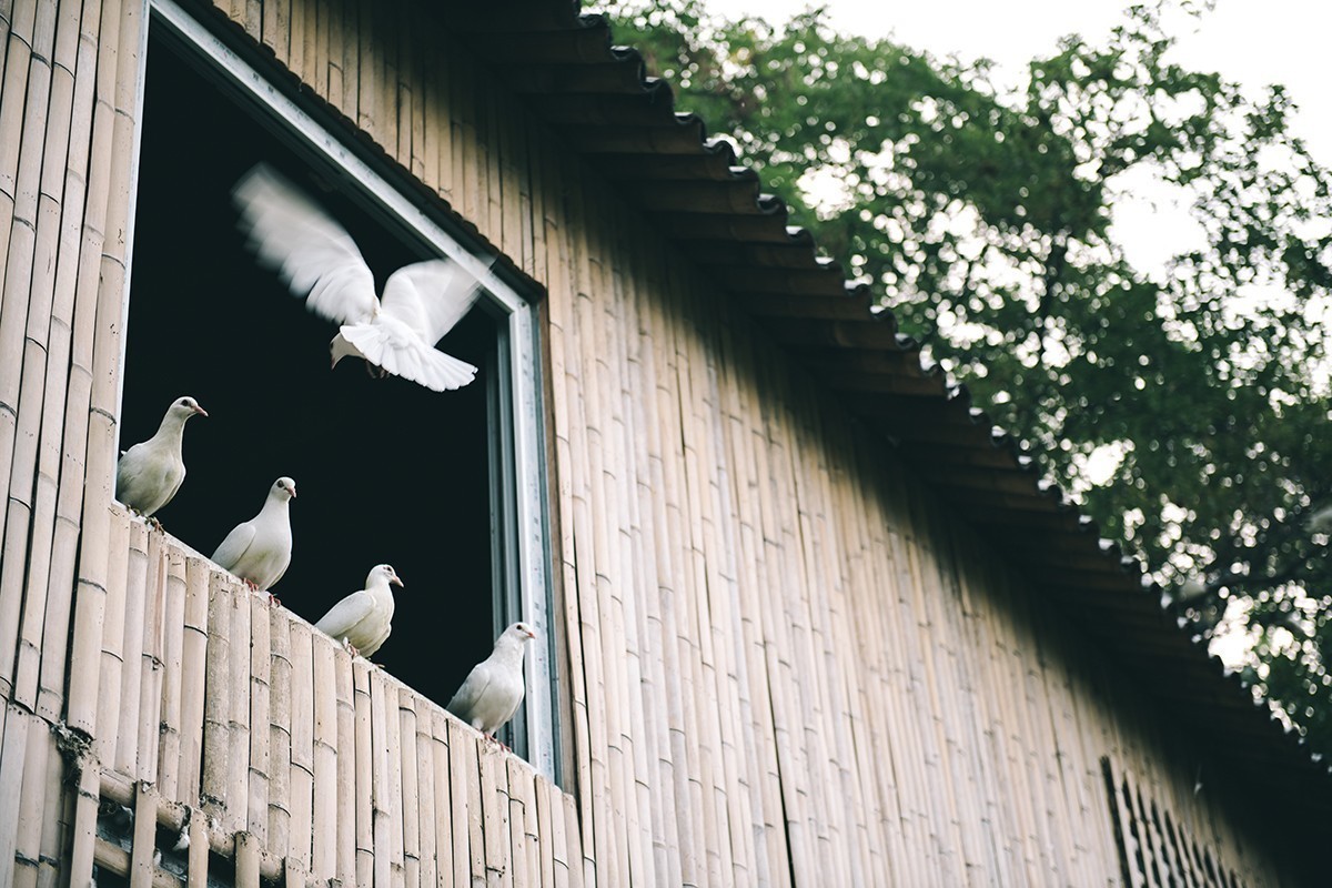 放松身心，公园游玩，另接拍儿童和婚礼跟拍