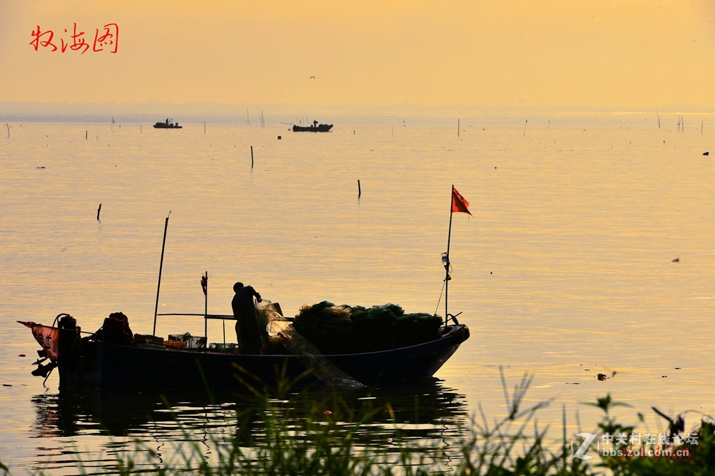 夏日   红海湾风情