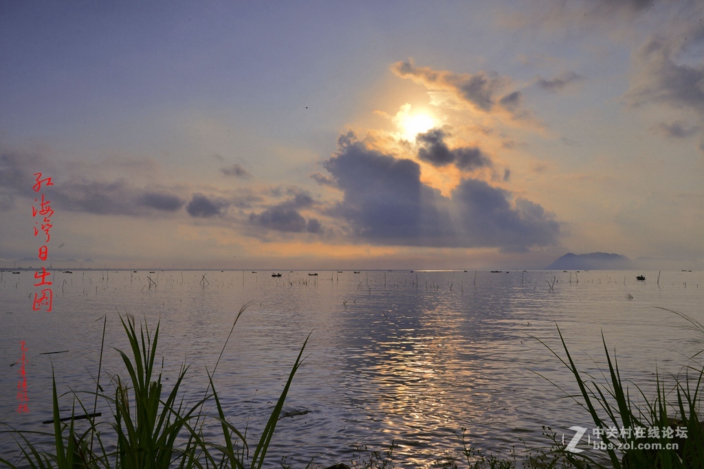 夏日   红海湾风情