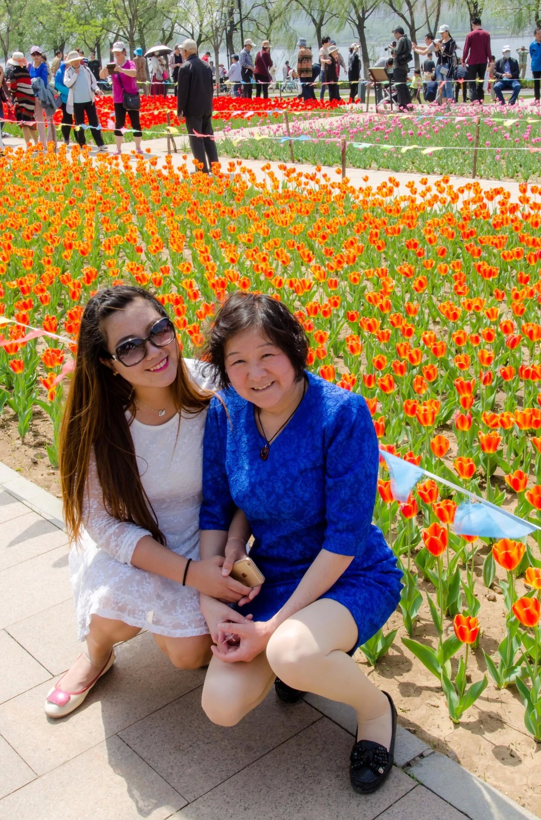 购入2手12 24后的几张作品