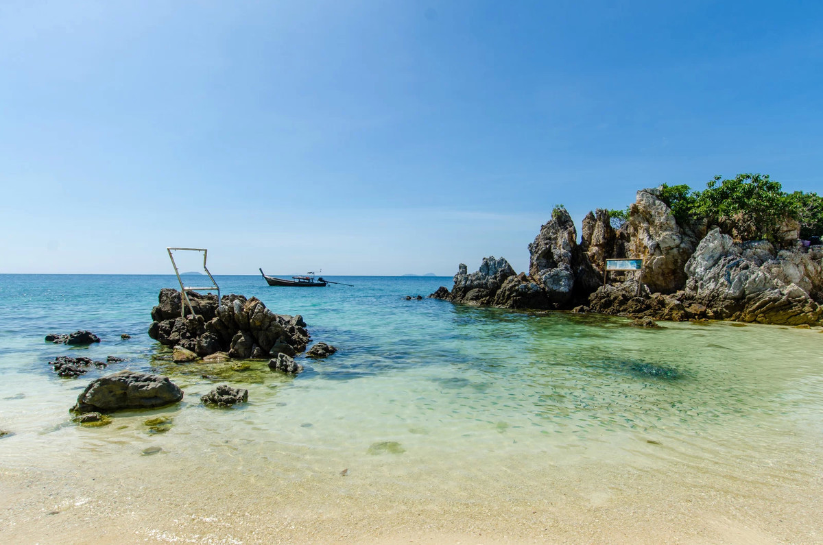 购入2手12 24后的几张作品